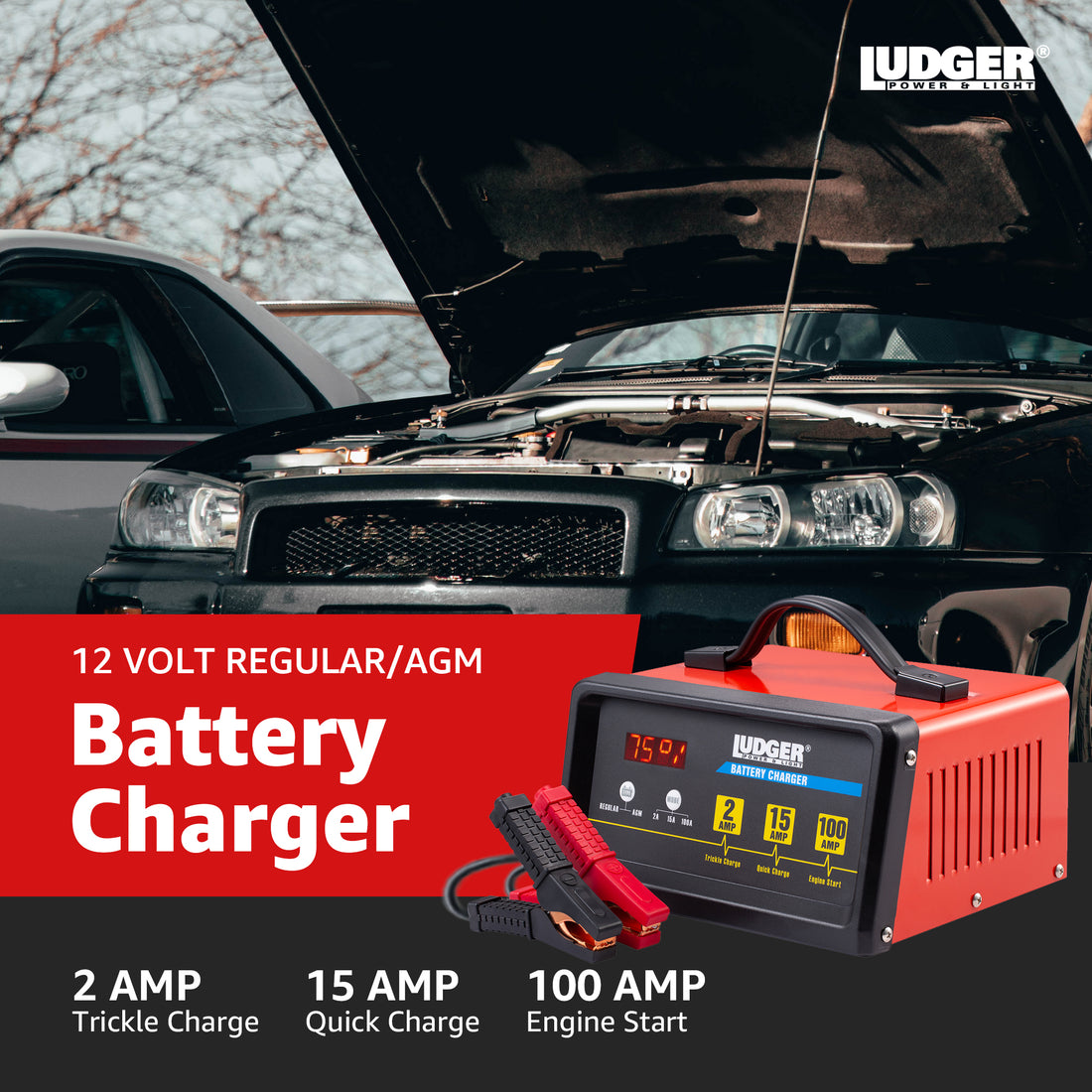 Cargador de baterías (LBCG-12-100)