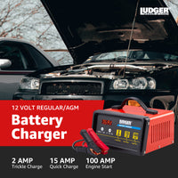 Battery Charger (LBCG-12-100)